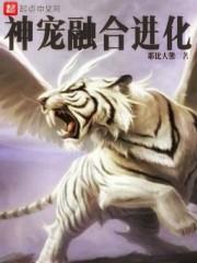 神宠融合进化封面