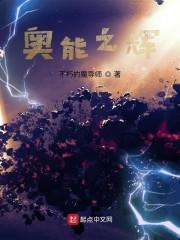 奥能之辉封面