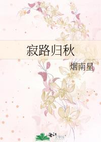 寂路归秋封面