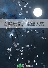 召唤玩家，重建大魏封面