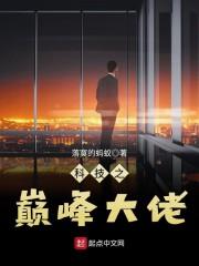 科技之巅峰大佬封面