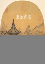 秉烛夜照【1V2 】封面
