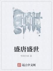 盛唐盛世封面