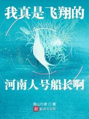 我真是飞翔的河南人号船长啊封面