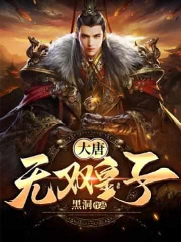 大唐无双皇子封面