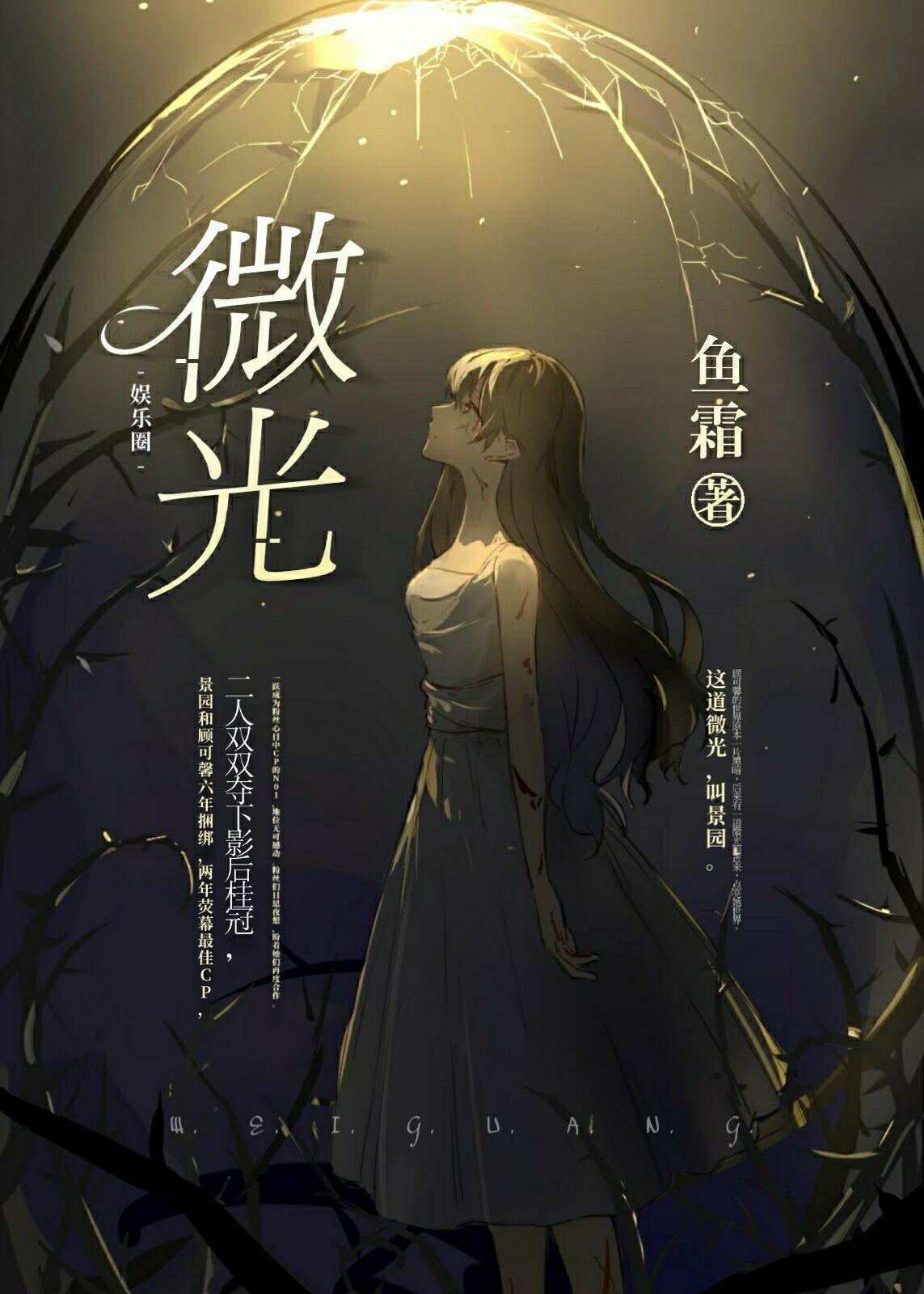 微光封面