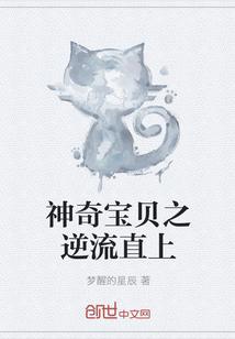 神奇宝贝之逆流直上封面