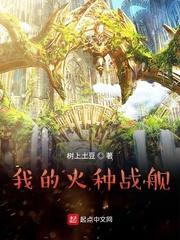 我的火种战舰封面