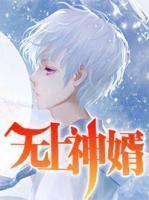 无上神婿封面