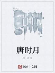 唐时月封面