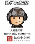 异世解放军封面