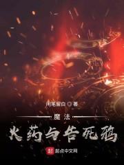 魔法火药与告死鸦封面