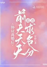 协议离婚后,前夫天天追着求名分封面