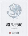 超凡贵族封面