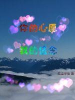 你的心愿我的信念封面