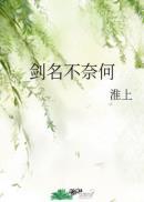 剑名不奈何封面