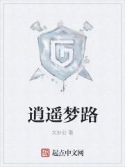 逍遥梦路封面