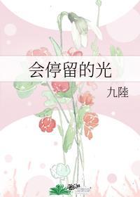 会停留的光封面