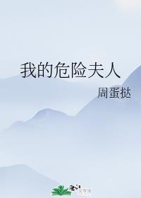 我的危险夫人封面