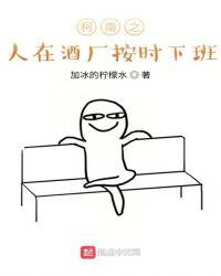 柯南之人在酒厂按时下班封面