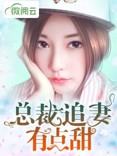 总裁追妻有点甜封面