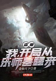 盗墓：我，开局从乐师墓醒来封面