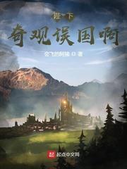 陛下，奇观误国啊！封面