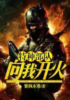 特种部队：向我开火封面