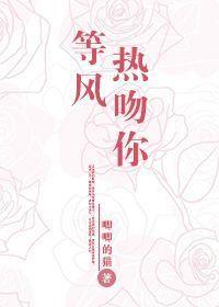等风热吻你封面