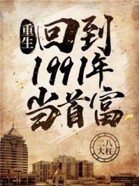重生：回到1991年当首富封面