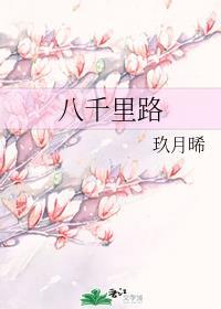 八千里路封面