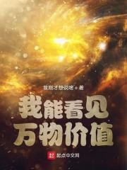 我能看见万物价值封面