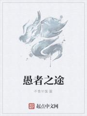 愚者之途封面