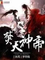 焚天神帝封面
