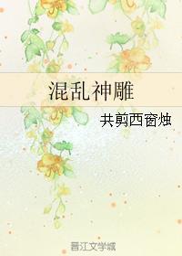 混乱神雕封面