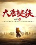 大唐键侠封面