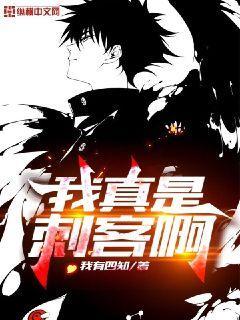 我真是刺客啊封面