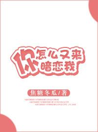 你怎么又来暗恋我封面