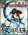 夜明珠封面