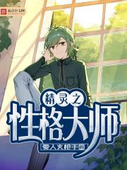 精灵之性格大师封面