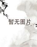 大汉昭烈帝封面