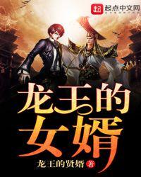 龙王的女婿封面
