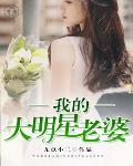 我的大明星老婆封面