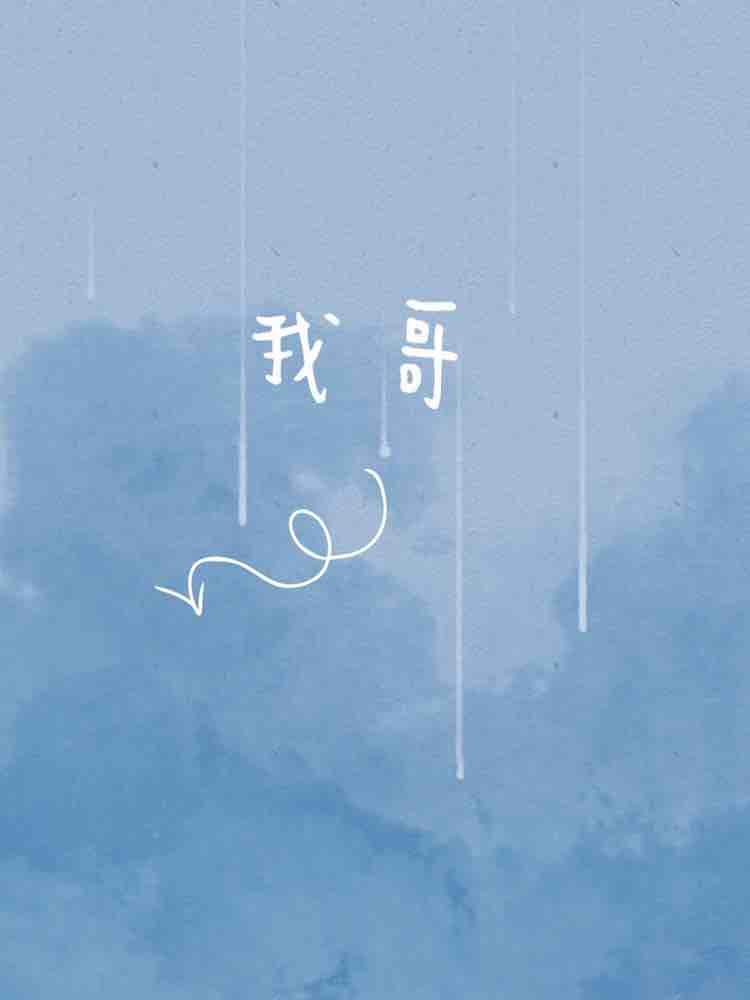 我哥雪莉po封面