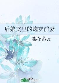 后娘文里的炮灰前妻封面