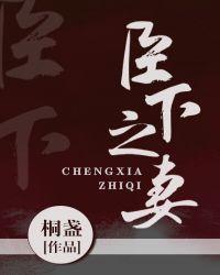 臣下之妻封面