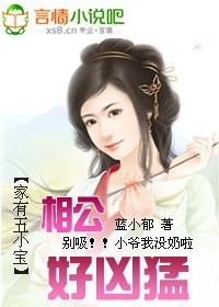 家有五小宝:相公好凶猛()封面