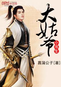 大姑爷小书生封面