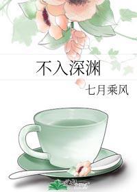 不入深渊封面
