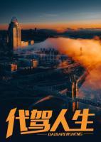 代驾人生封面